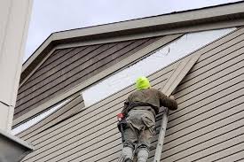 Best Siding Repair  in Buhl, MN